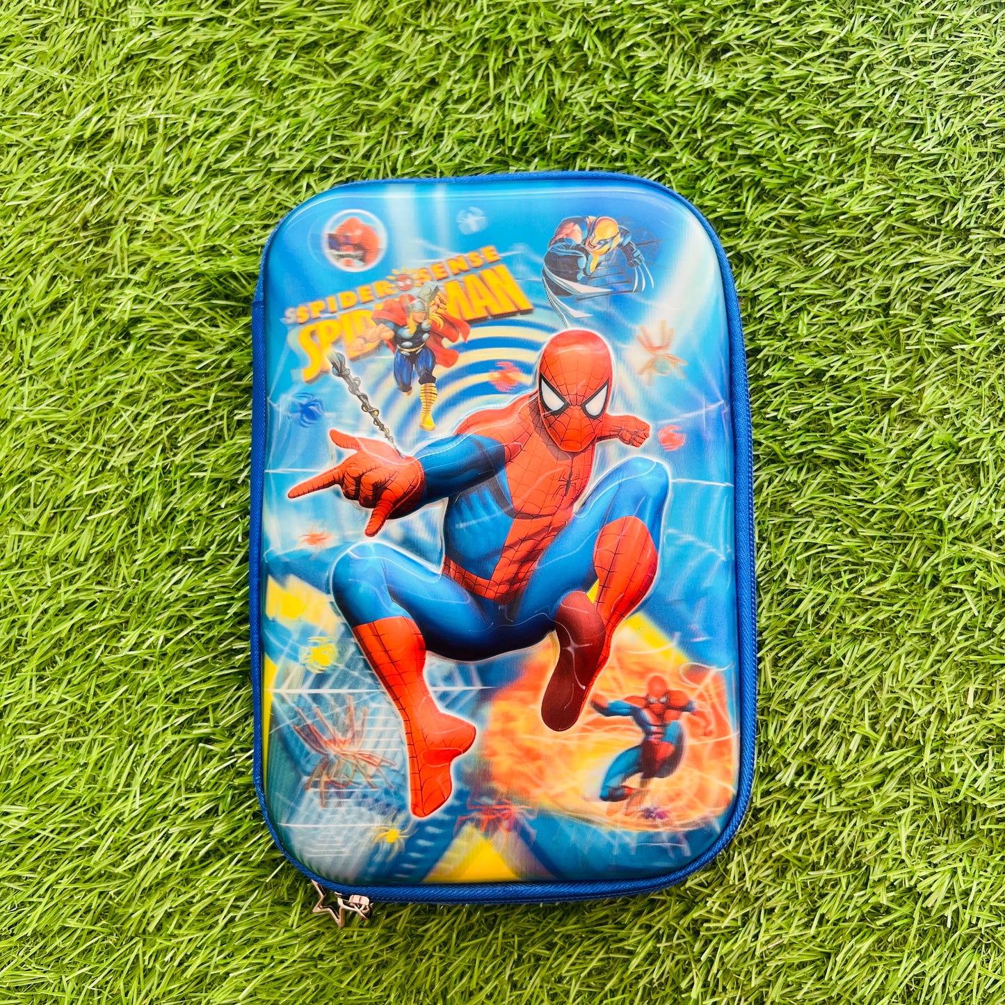 6D Spider-man Pouch